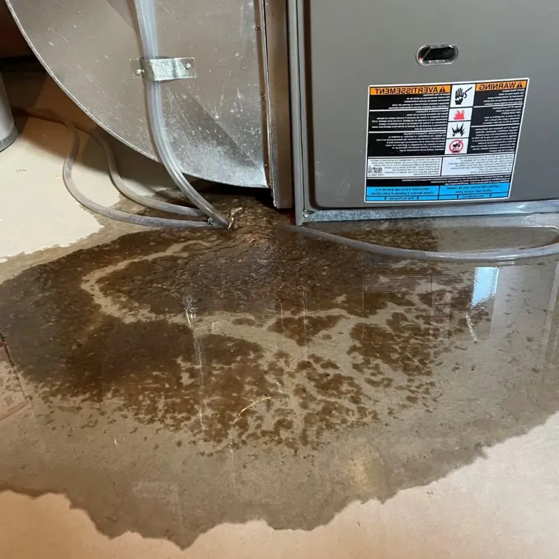 Pipe Burst and Leak Restoration in Brockway, PA
