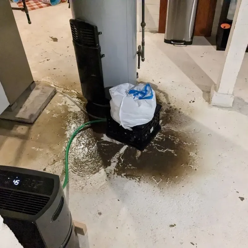 Sewage Backup Cleanup Service in Brockway, PA